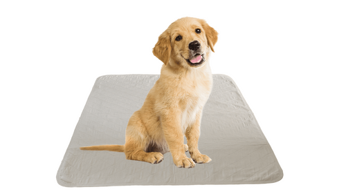 24 Pack Puppy Training Washable Pee Pad XL - Whelping Absorbent Reusable Pads Carpet/Seat Protection