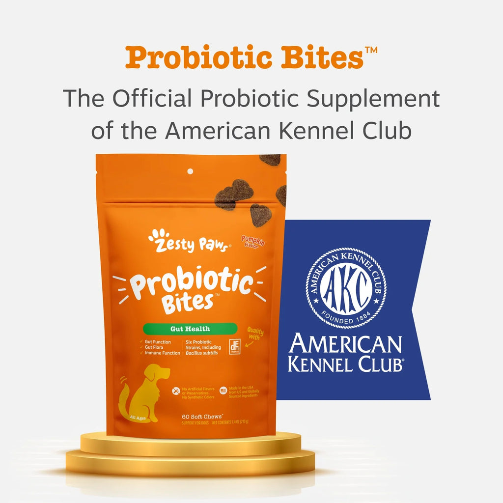 (6 Pack)  Probiotic Bites for Dogs, Pumpkin Flavor, 60 Count