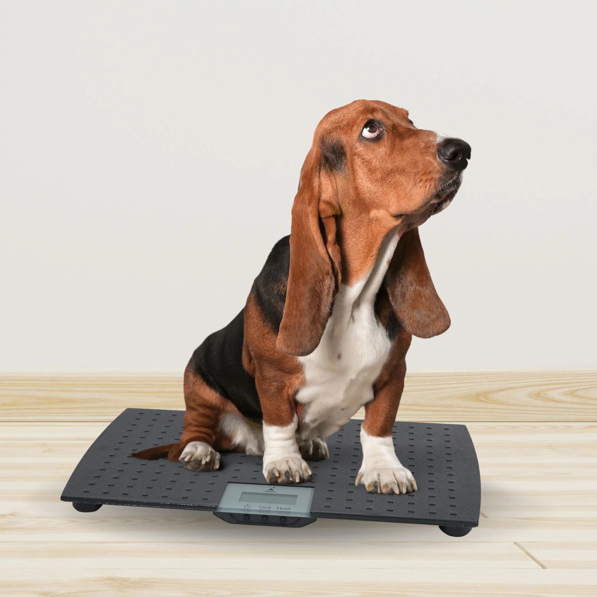 Precision Digital Weighing Animal Veterinary Scale for Pets