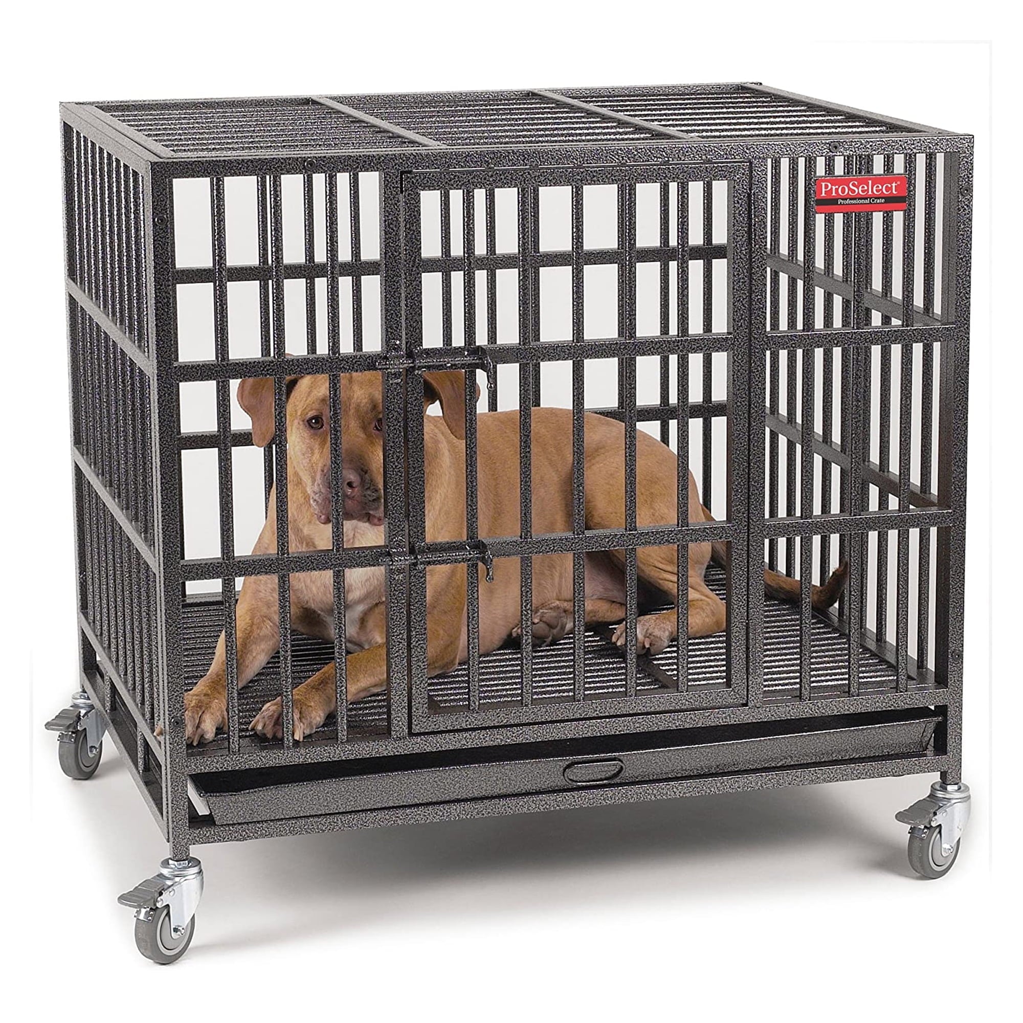 PS Empire Cage L