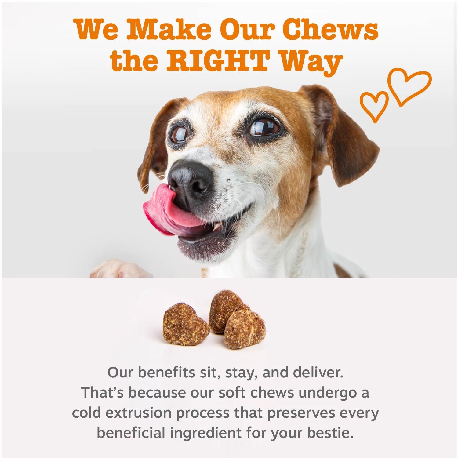 (6 Pack)  Probiotic Bites for Dogs, Pumpkin Flavor, 60 Count
