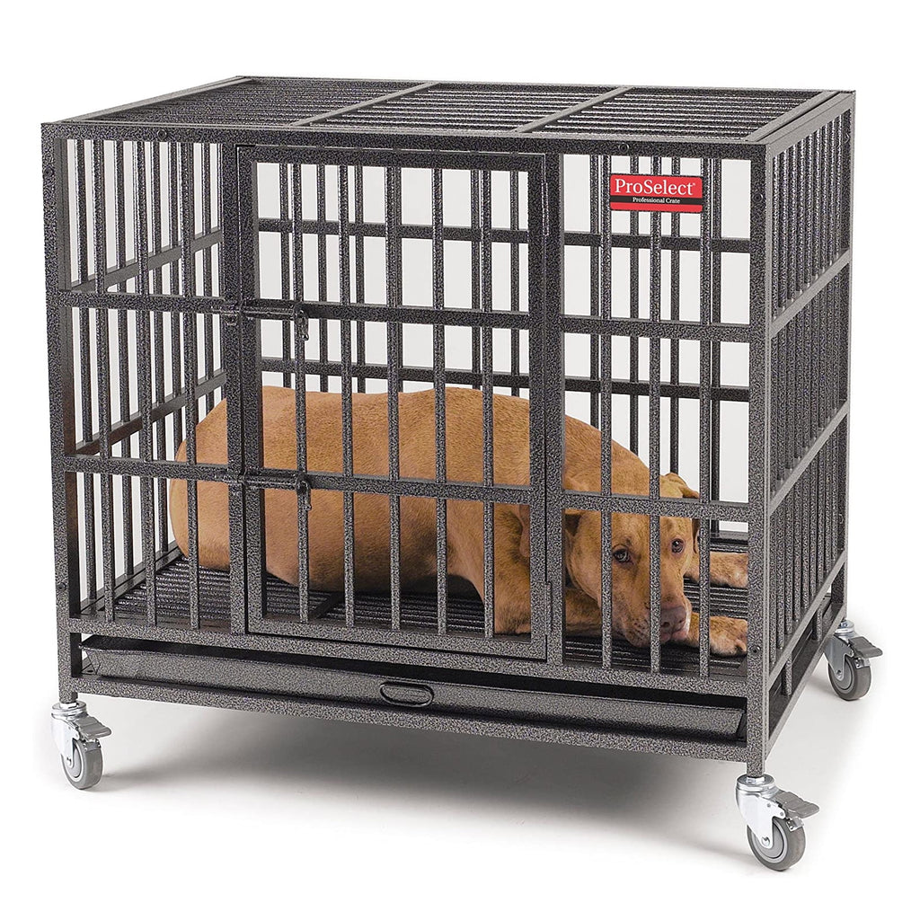PS Empire Cage L