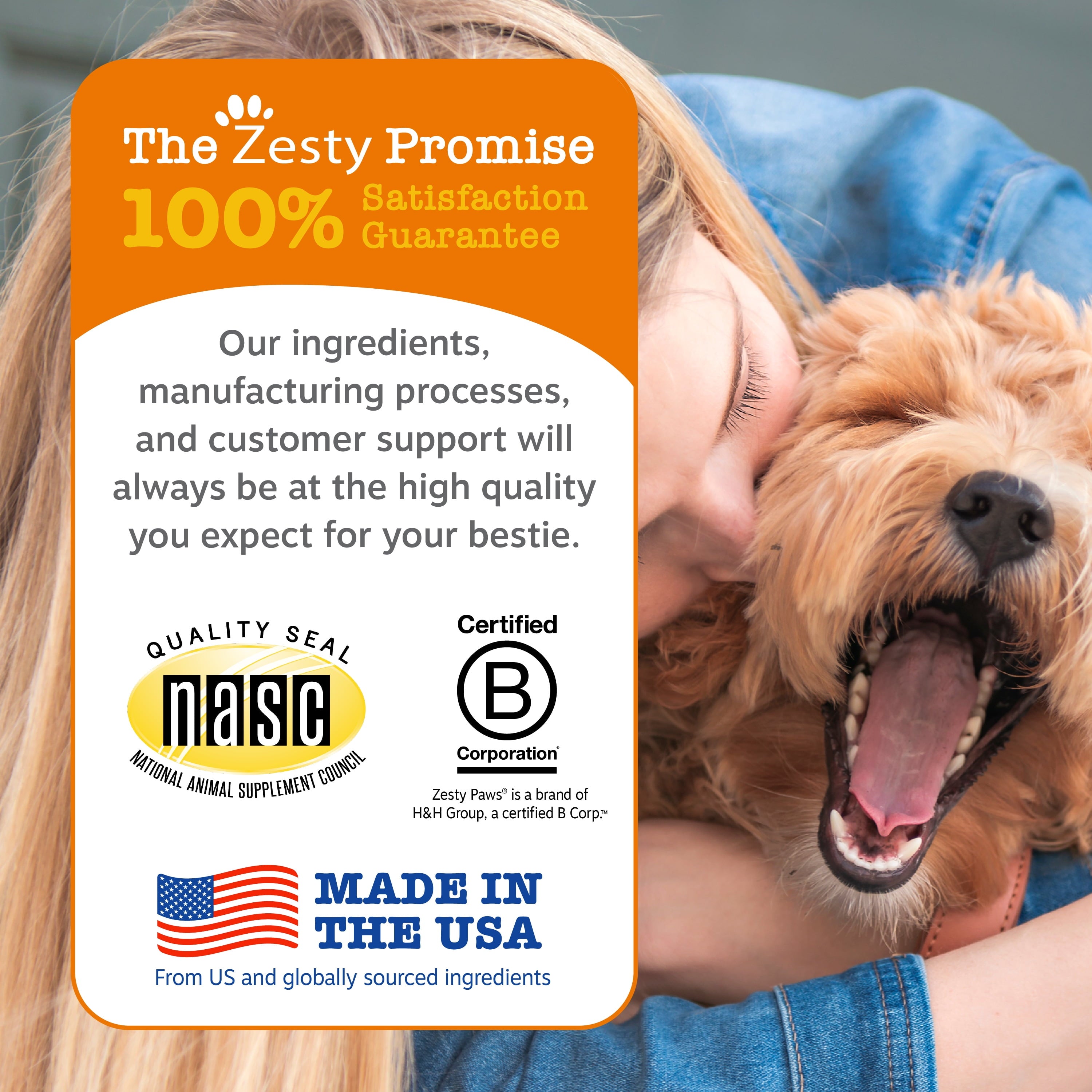 (6 Pack)  Probiotic Bites for Dogs, Pumpkin Flavor, 60 Count