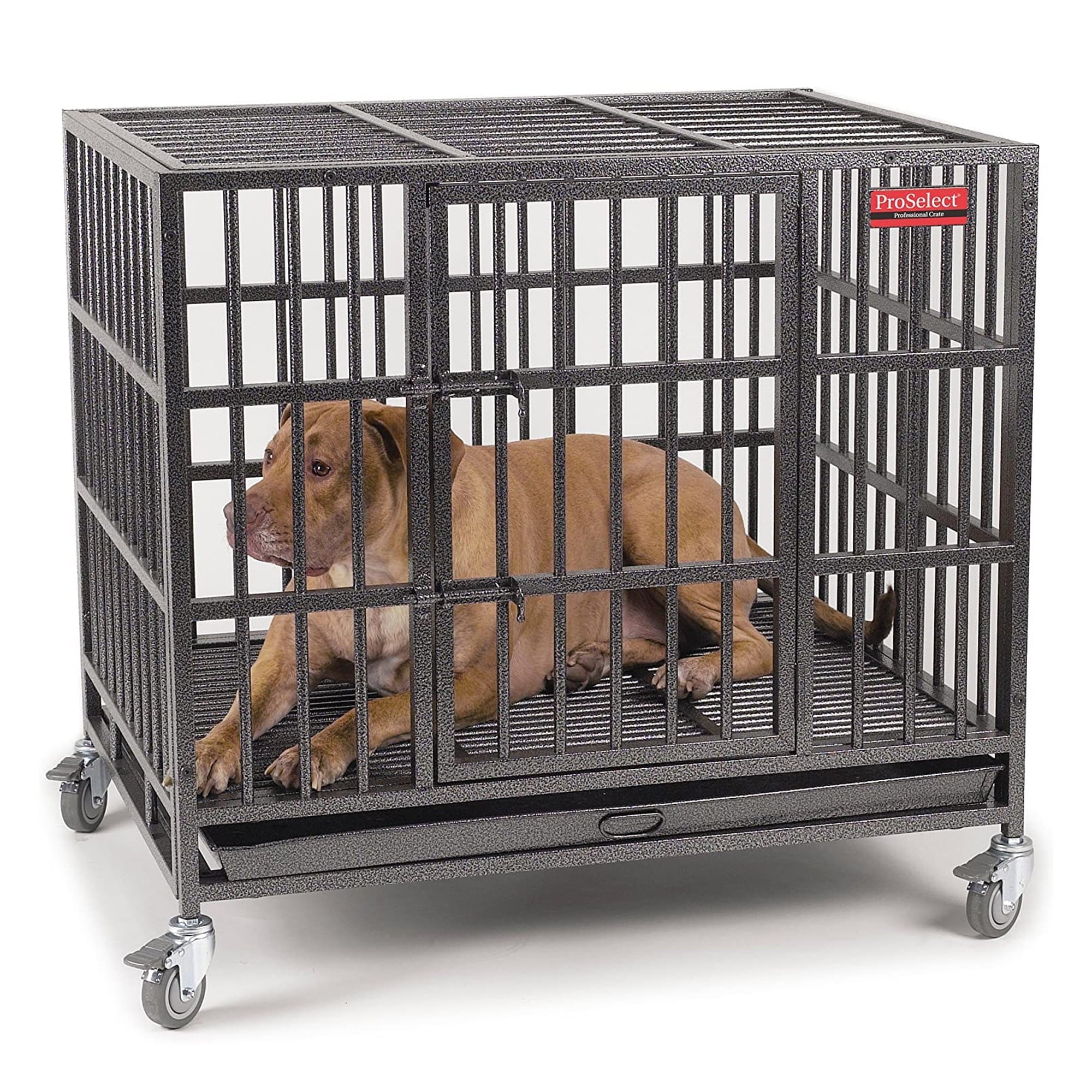 PS Empire Cage L