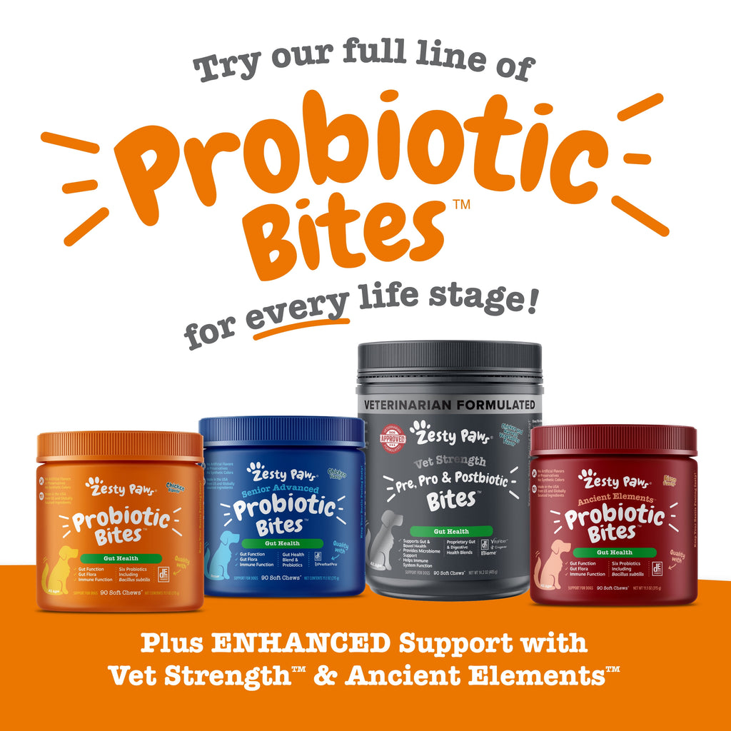 (6 Pack)  Probiotic Bites for Dogs, Pumpkin Flavor, 60 Count