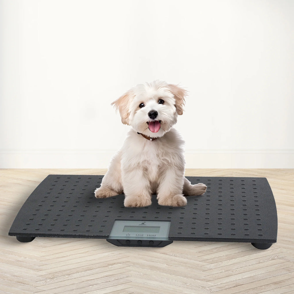 Precision Digital Weighing Animal Veterinary Scale for Pets