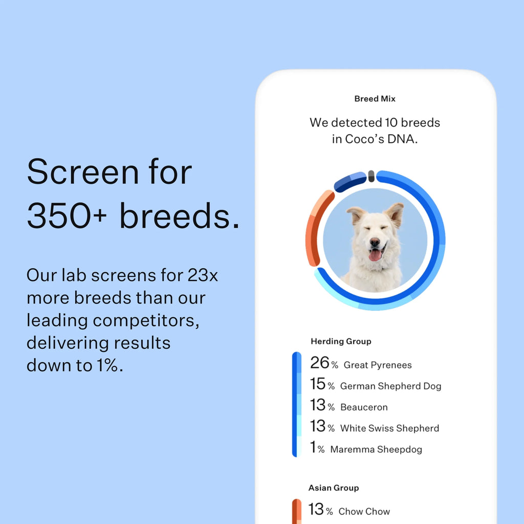 Breed Discovery, Breed Identification, Dog DNA Test Kit