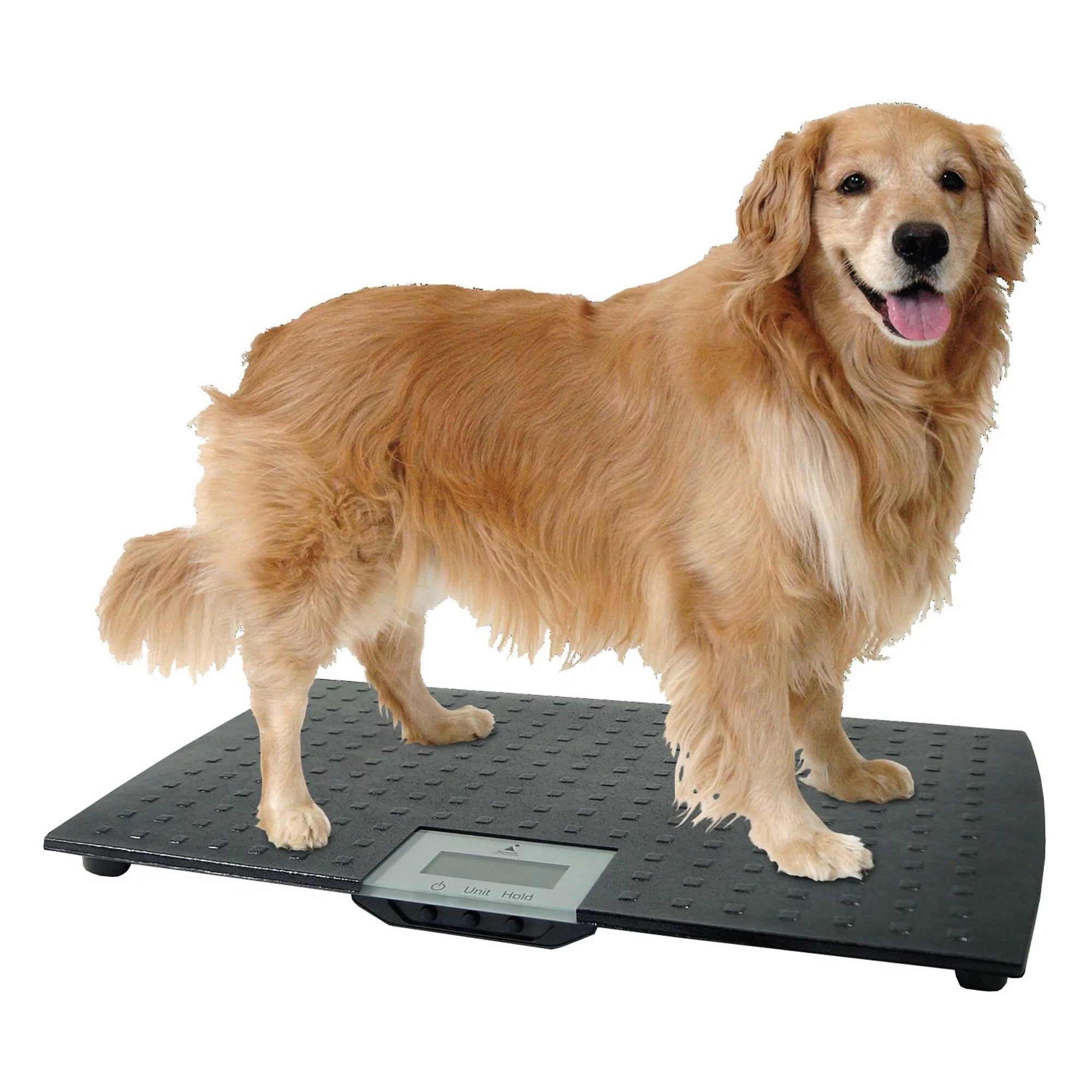 Precision Digital Weighing Animal Veterinary Scale for Pets